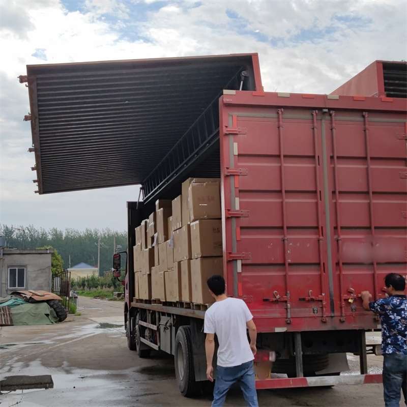 清河县扎囊县：物流专线的高效货运之旅